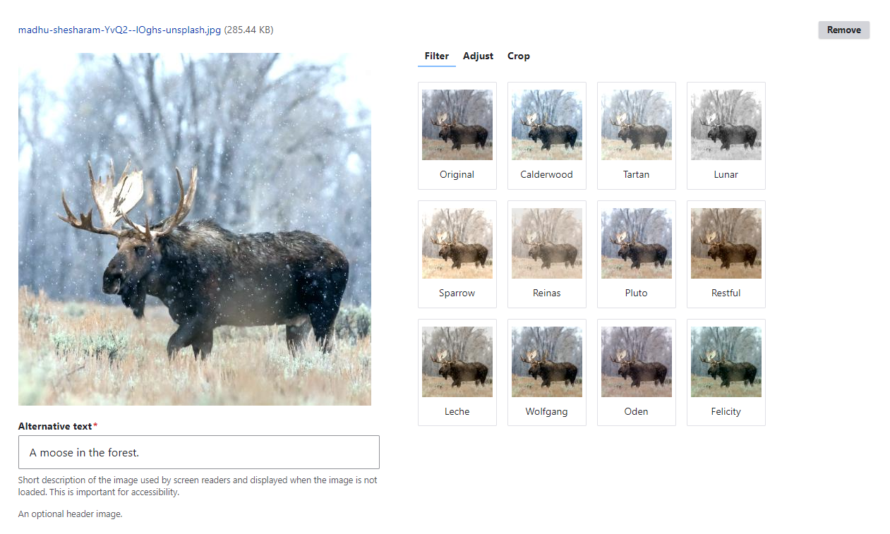 A screenshot showing a Drupal image widget with a variety of filters.
